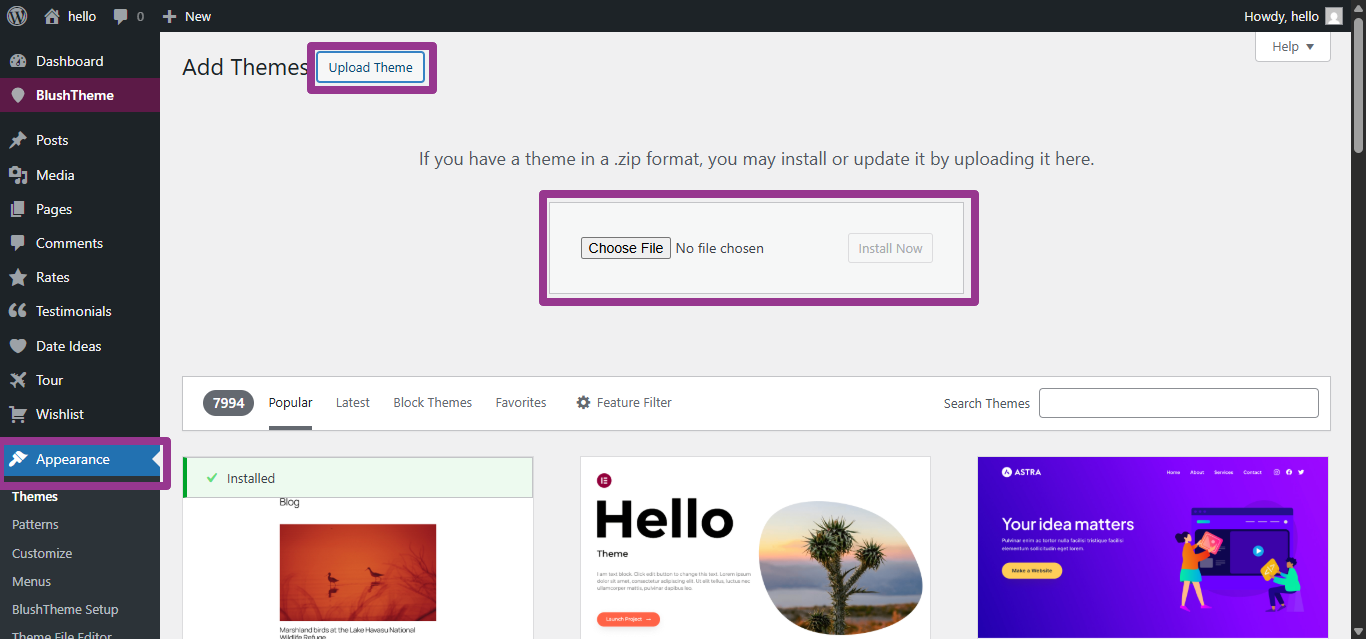 Uploading BlushTheme in WordPress — Appearance → Themes → Upload Theme